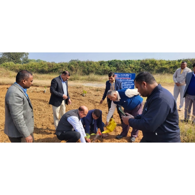 आईसेक्ट विश्वविद्यालय परिसर में सेंट्रल बैंक ऑफ इंडिया का हरित संकल्प, 115 पौधों का वृक्षारोपण
