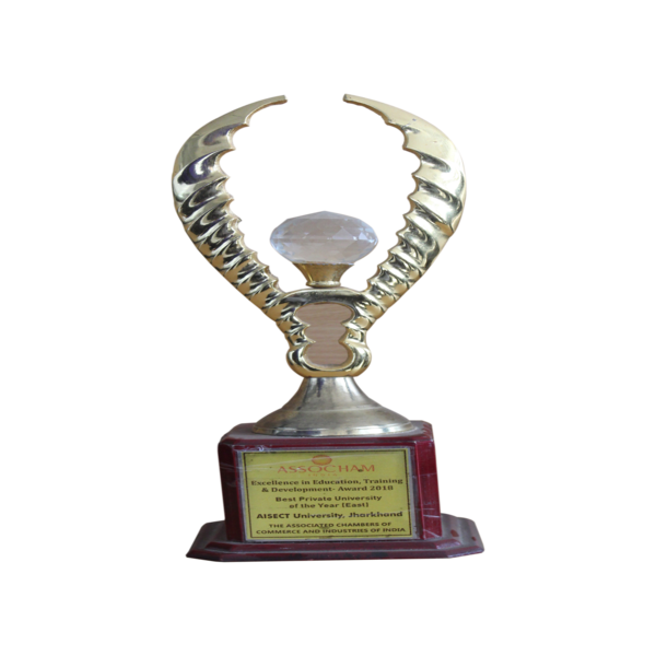 Assocham Award 2018